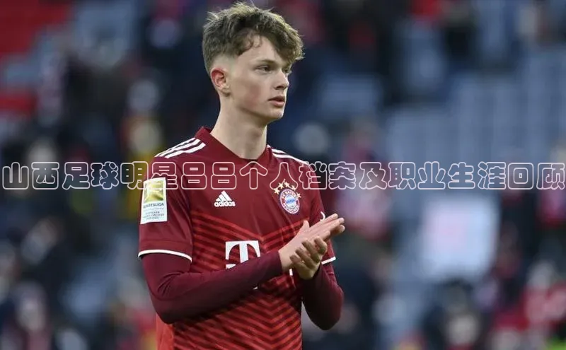 华体会体育hth首页天键股份山西足球明星吕吕个人档案及职业生涯回顾