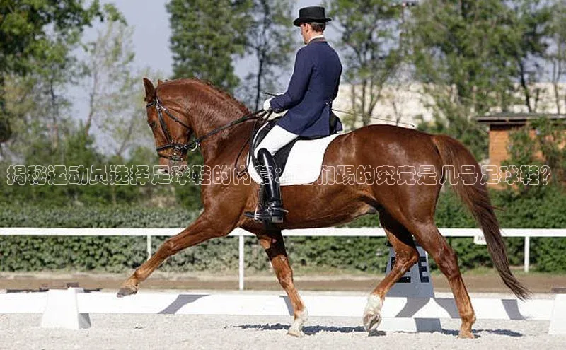 华体育·登录入口华扬联众揭秘运动员选择足球鞋的内幕：他们踢的究竟是几号足球鞋？