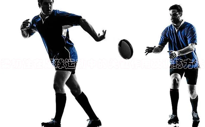 hth·华体育官方金山办公柔韧性在足球运动中的关键作用及训练方法