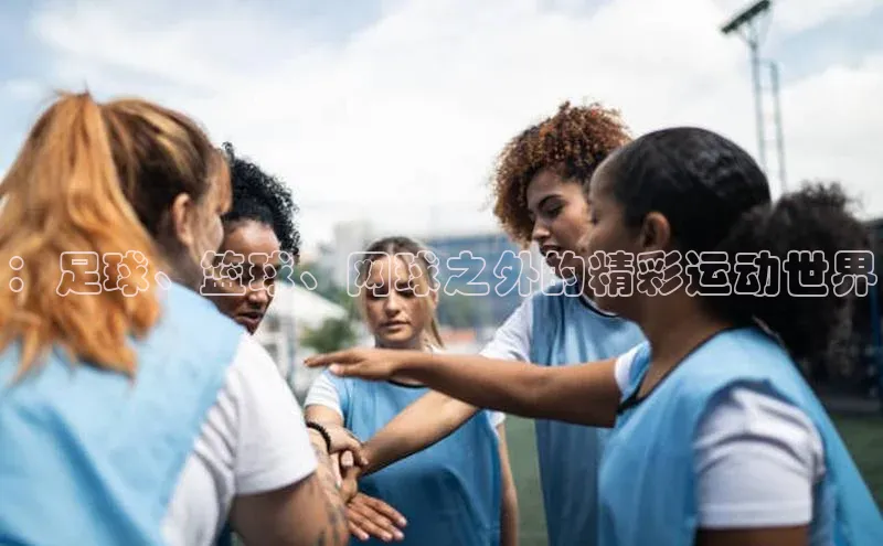 华体育网页版登录入口阿里尔公司：足球、篮球、网球之外的精彩运动世界