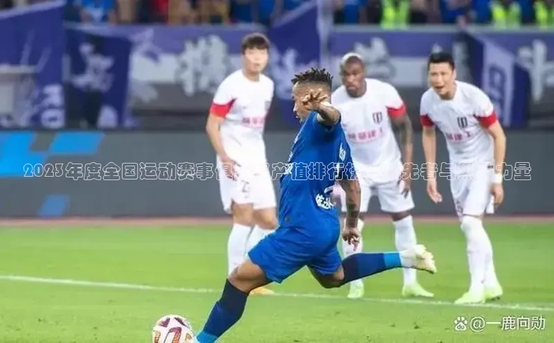 2023年度全国运动赛事俱乐部产值排行榜：领先者与黑马力量