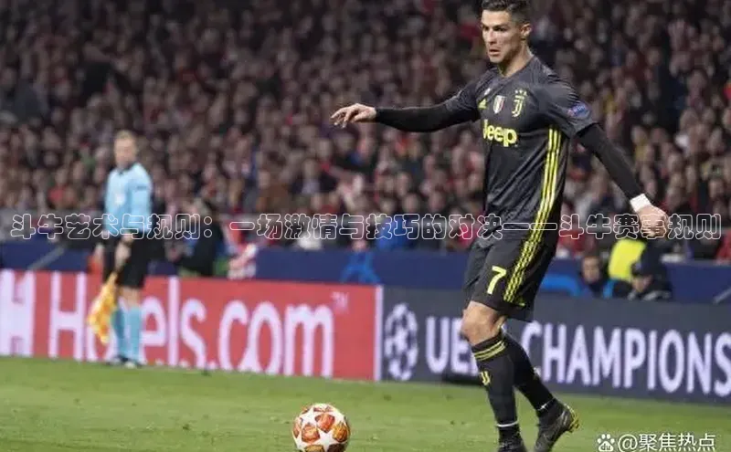 斗牛艺术与规则：一场激情与技巧的对决——斗牛赛事规则