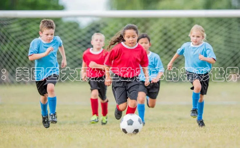 ：美国四大顶级运动赛事的精彩世界