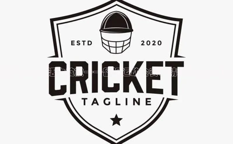 绿茵场上的活力绽放——留坝运动会赛事精彩回顾与展望