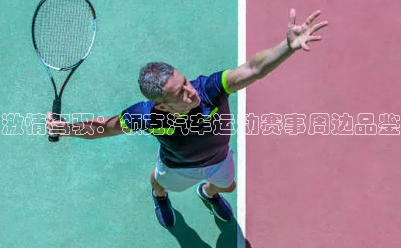 激情驾驭：领克汽车运动赛事周边品鉴