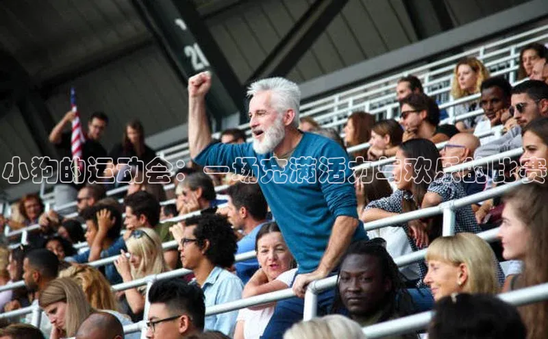 小狗的运动会：一场充满活力与欢乐的比赛