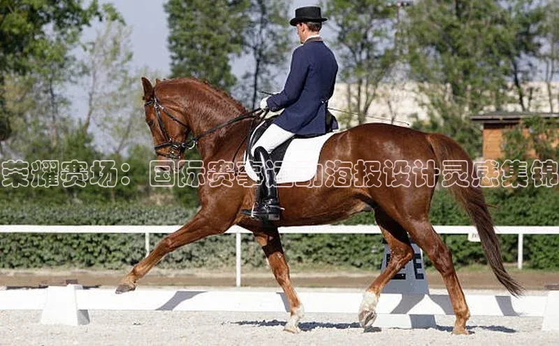荣耀赛场：国际赛事运动海报设计灵感集锦