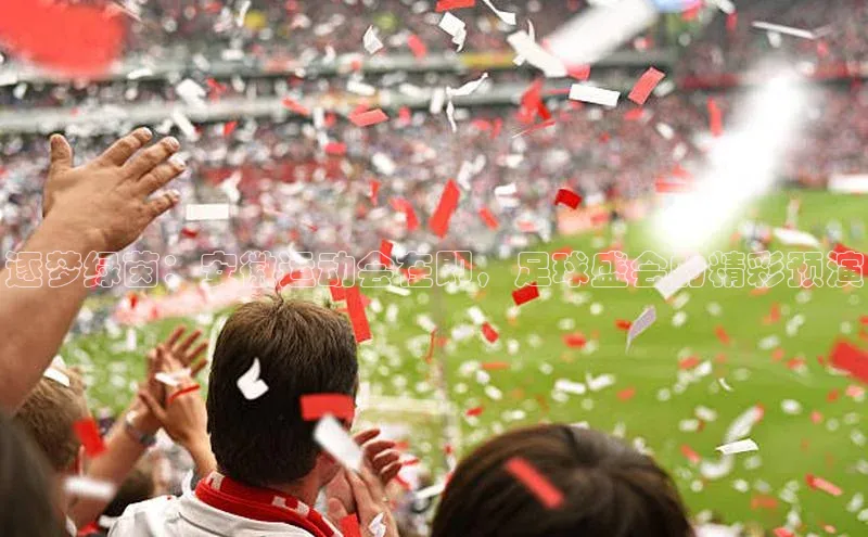 逐梦绿茵：安徽运动会在即，足球盛会的精彩预演