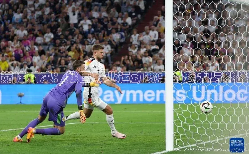 巅峰对决：我国职业运动赛事的魅力与挑战