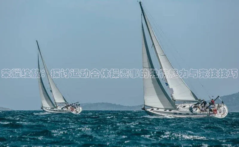 荣耀绽放：探讨运动会体操赛事的独特魅力与竞技技巧