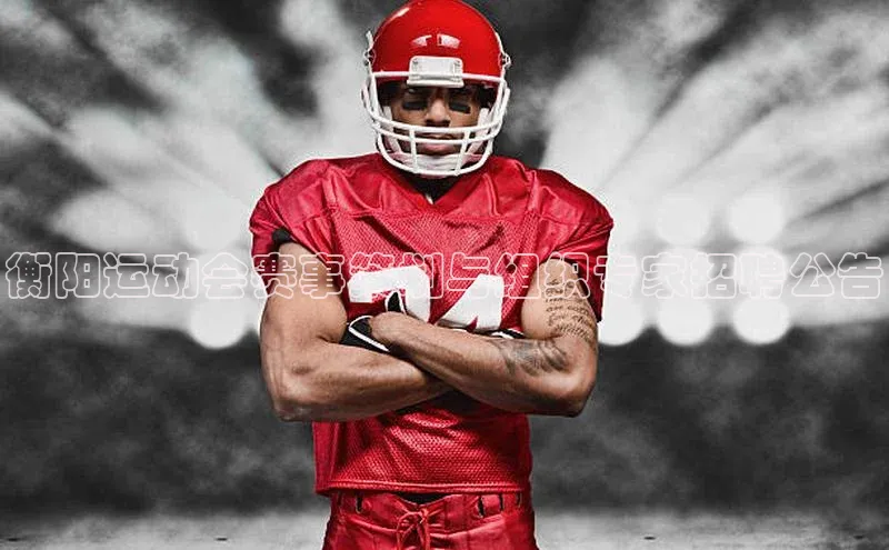 衡阳运动会赛事策划与组织专家招聘公告