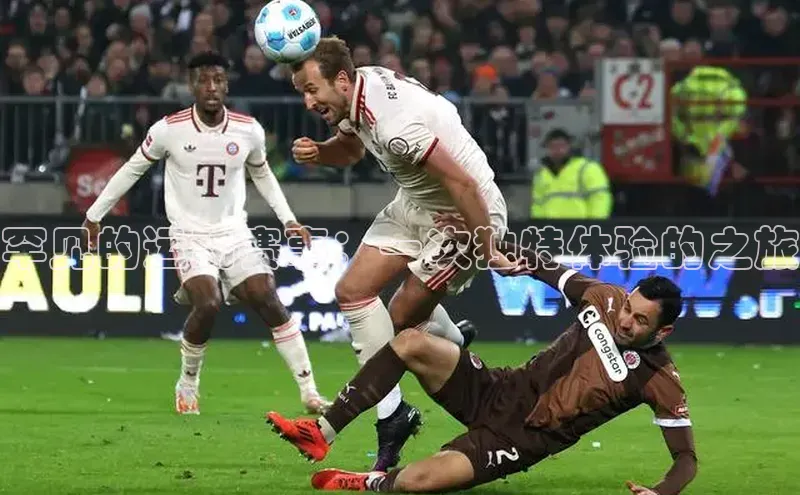 罕见的运动赛事：一次独特体验的之旅