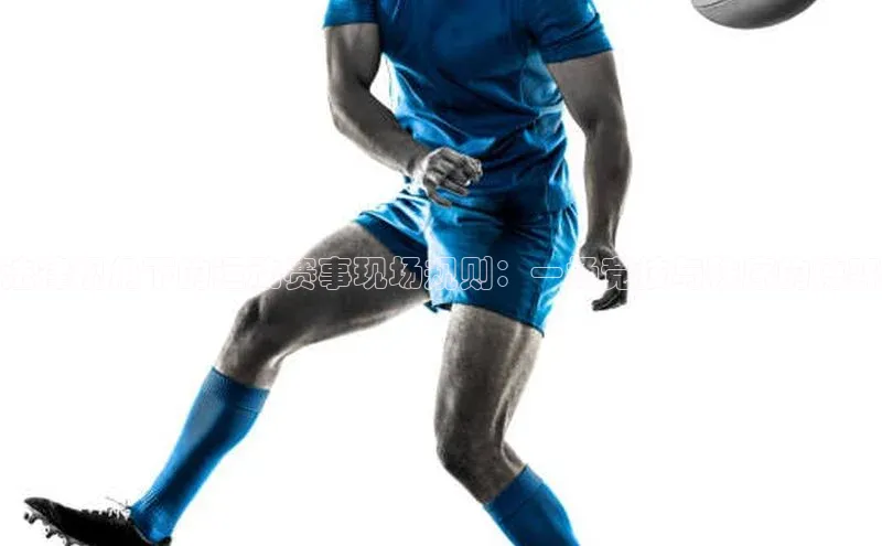 hth会体会官方网站登录