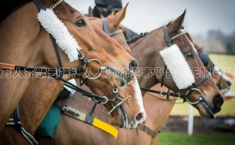 万人齐聚云端：人人运动赛事平台的无限可能
