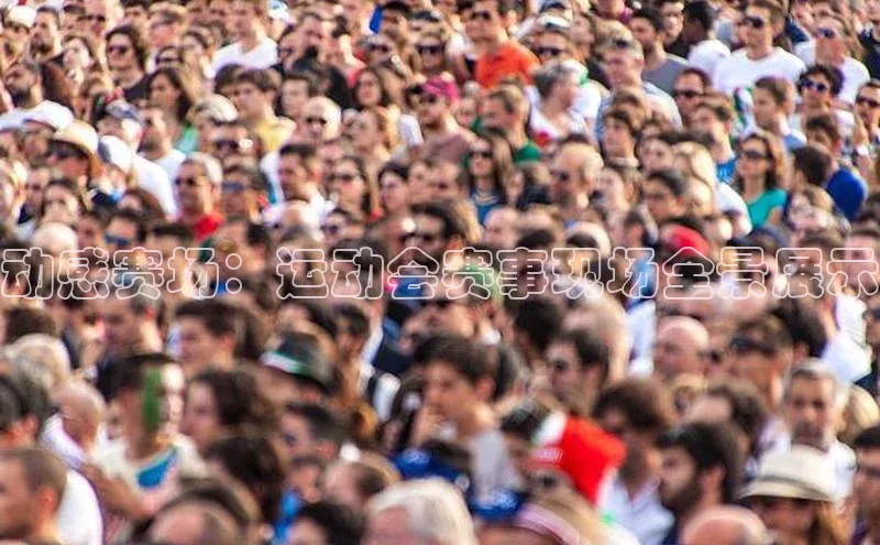 动感赛场：运动会赛事现场全景展示