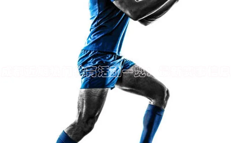 华体育app官方网站入口